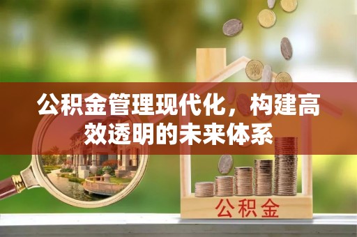 桐庐公积金管理现代化，构建高效透明的未来体系