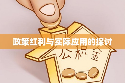 桐庐政策红利与实际应用的探讨