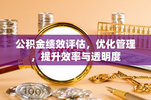 桐庐公积金绩效评估，优化管理，提升效率与透明度