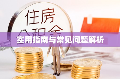 桐庐实用指南与常见问题解析