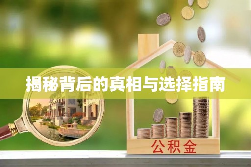 桐庐揭秘背后的真相与选择指南
