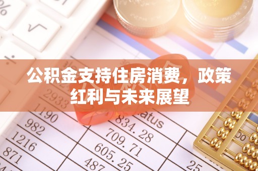 桐庐公积金支持住房消费，政策红利与未来展望